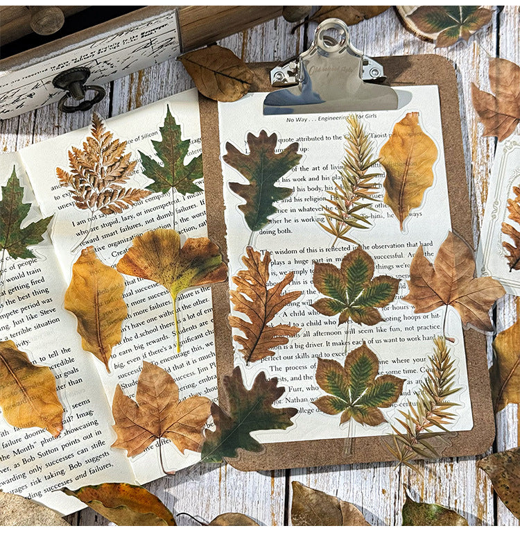 Autumn Signaled by Falling Leaves Waterproof PET Transparent Handmade Journal Sticker Pack. DIY Handmade Journal Plant Material, Children's Stickers, and Leaf Stickers