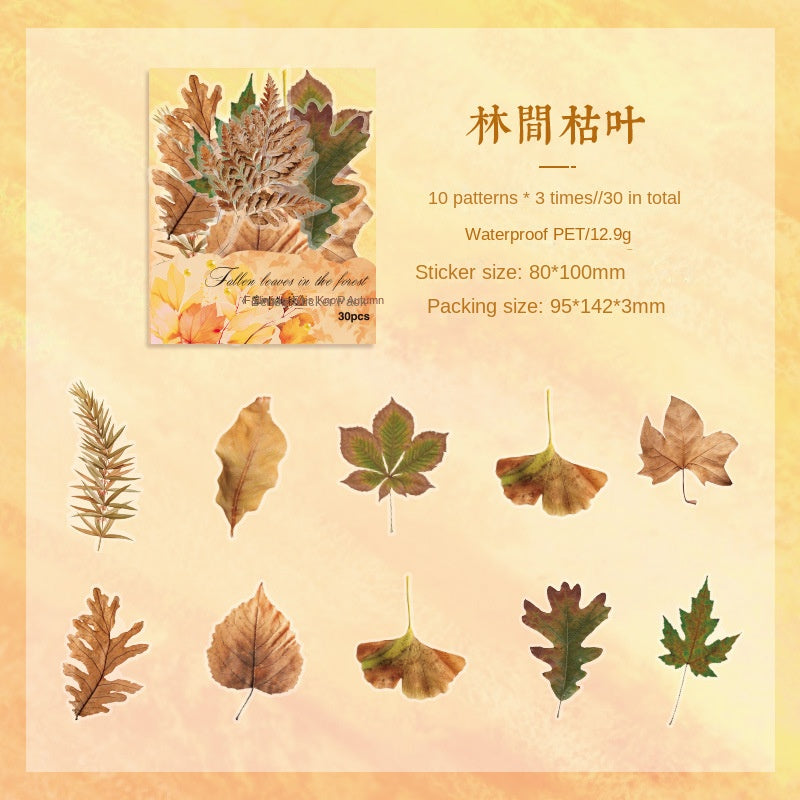 Autumn Signaled by Falling Leaves Waterproof PET Transparent Handmade Journal Sticker Pack. DIY Handmade Journal Plant Material, Children's Stickers, and Leaf Stickers