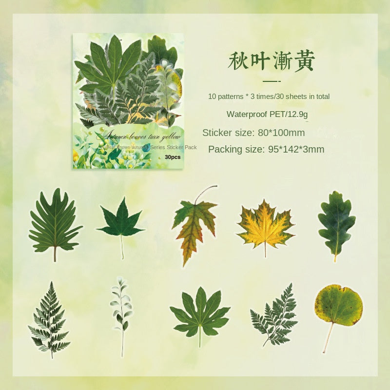 Autumn Signaled by Falling Leaves Waterproof PET Transparent Handmade Journal Sticker Pack. DIY Handmade Journal Plant Material, Children's Stickers, and Leaf Stickers