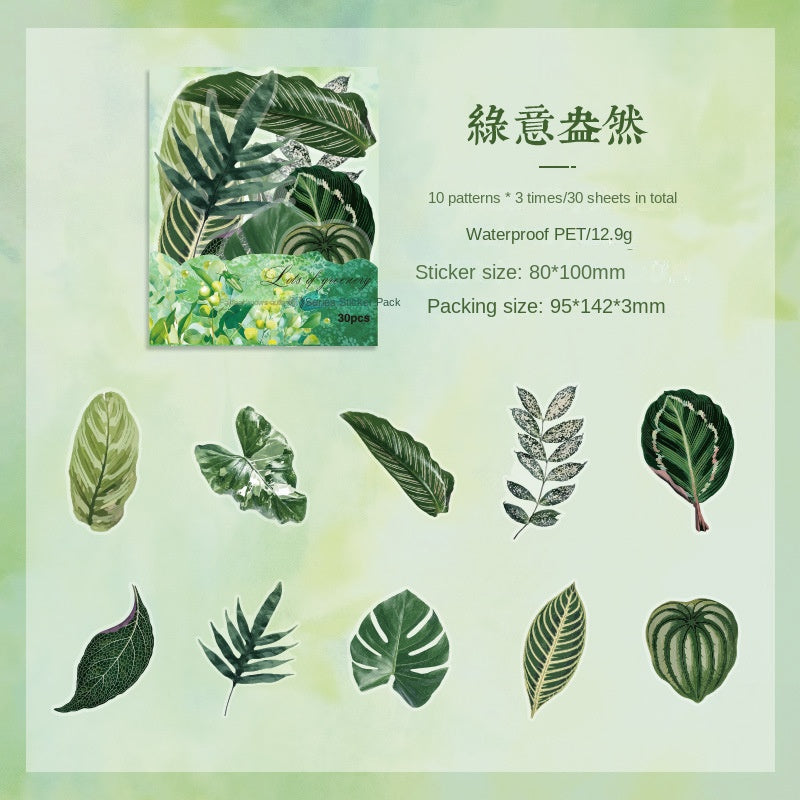 Autumn Signaled by Falling Leaves Waterproof PET Transparent Handmade Journal Sticker Pack. DIY Handmade Journal Plant Material, Children's Stickers, and Leaf Stickers