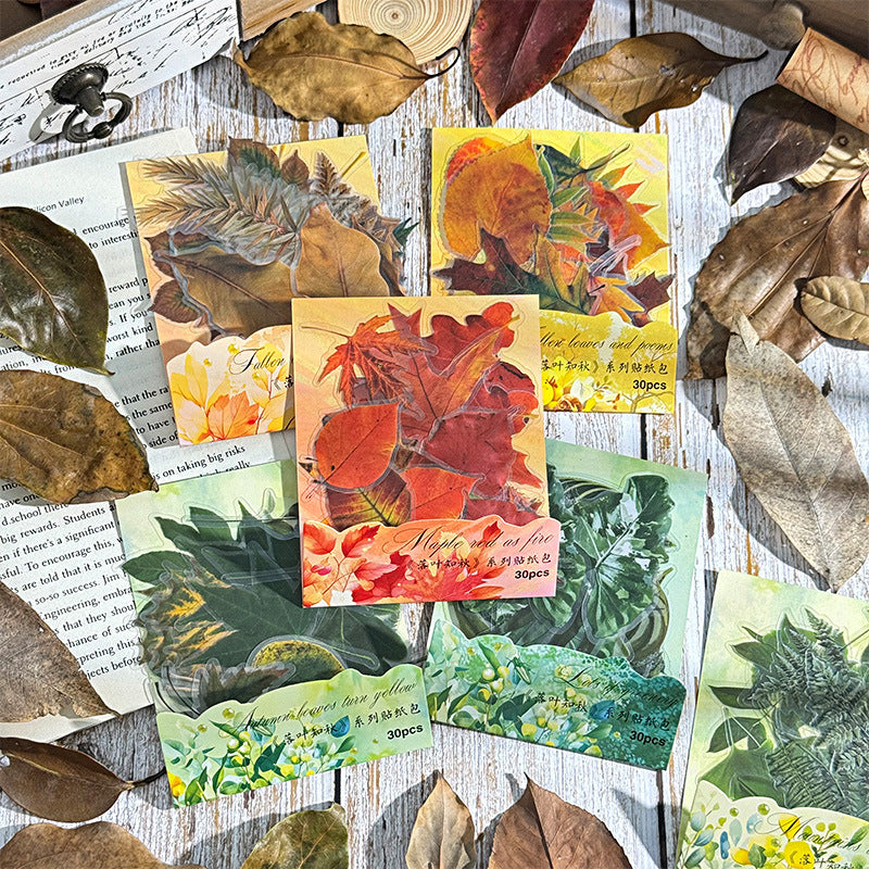 Autumn Signaled by Falling Leaves Waterproof PET Transparent Handmade Journal Sticker Pack. DIY Handmade Journal Plant Material, Children's Stickers, and Leaf Stickers