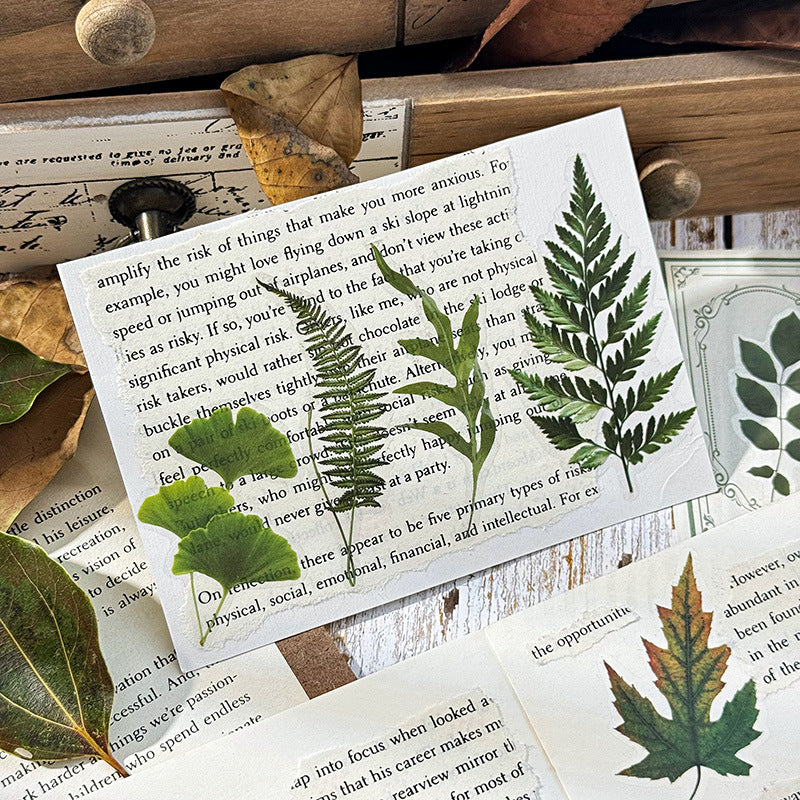 Autumn Signaled by Falling Leaves Waterproof PET Transparent Handmade Journal Sticker Pack. DIY Handmade Journal Plant Material, Children's Stickers, and Leaf Stickers