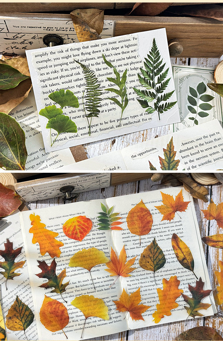 Autumn Signaled by Falling Leaves Waterproof PET Transparent Handmade Journal Sticker Pack. DIY Handmade Journal Plant Material, Children's Stickers, and Leaf Stickers