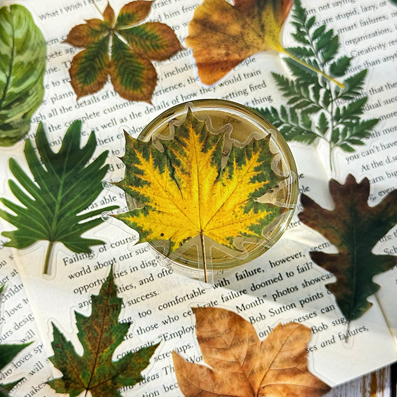 Autumn Signaled by Falling Leaves Waterproof PET Transparent Handmade Journal Sticker Pack. DIY Handmade Journal Plant Material, Children's Stickers, and Leaf Stickers