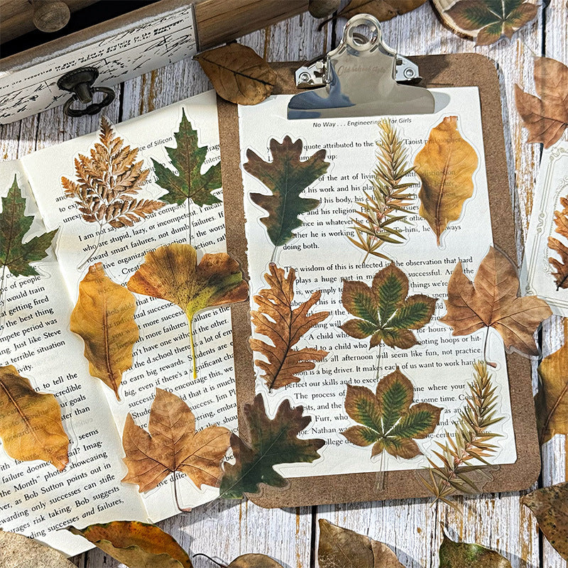 Autumn Signaled by Falling Leaves Waterproof PET Transparent Handmade Journal Sticker Pack. DIY Handmade Journal Plant Material, Children's Stickers, and Leaf Stickers