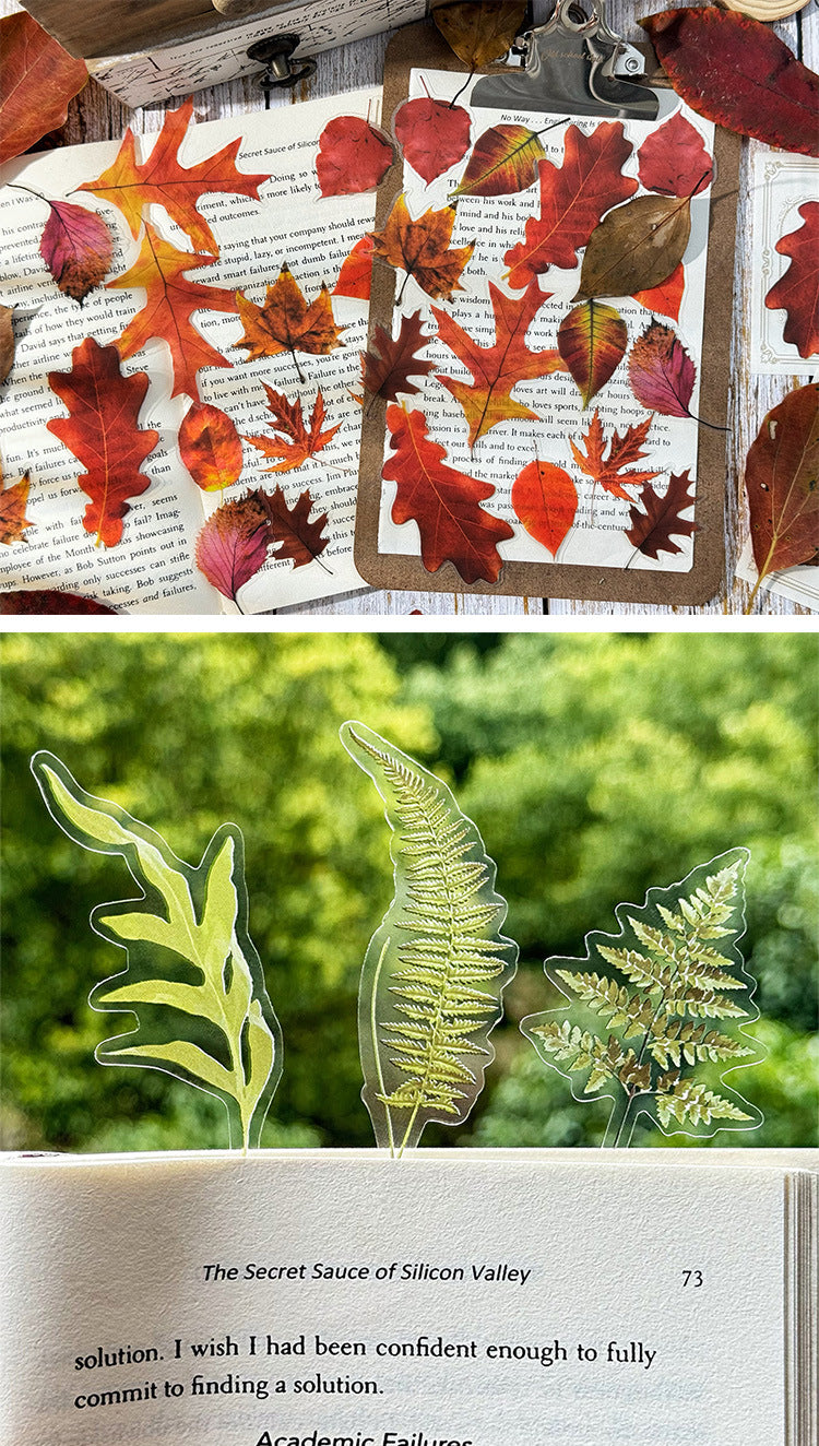 Autumn Signaled by Falling Leaves Waterproof PET Transparent Handmade Journal Sticker Pack. DIY Handmade Journal Plant Material, Children's Stickers, and Leaf Stickers