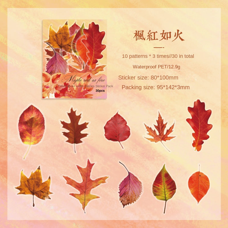 Autumn Signaled by Falling Leaves Waterproof PET Transparent Handmade Journal Sticker Pack. DIY Handmade Journal Plant Material, Children's Stickers, and Leaf Stickers