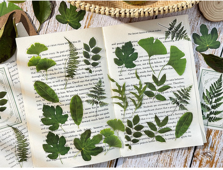 Autumn Signaled by Falling Leaves Waterproof PET Transparent Handmade Journal Sticker Pack. DIY Handmade Journal Plant Material, Children's Stickers, and Leaf Stickers