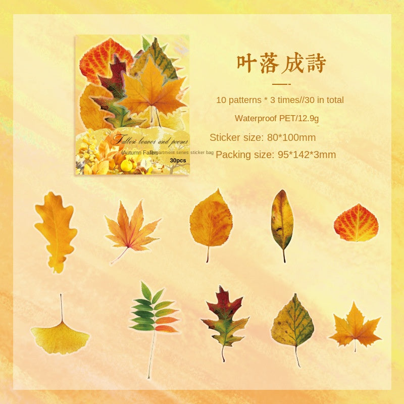 Autumn Signaled by Falling Leaves Waterproof PET Transparent Handmade Journal Sticker Pack. DIY Handmade Journal Plant Material, Children's Stickers, and Leaf Stickers