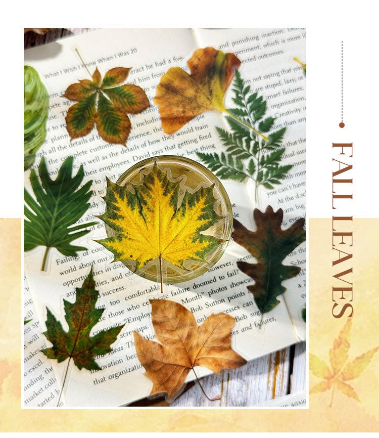 Autumn Signaled by Falling Leaves Waterproof PET Transparent Handmade Journal Sticker Pack. DIY Handmade Journal Plant Material, Children's Stickers, and Leaf Stickers