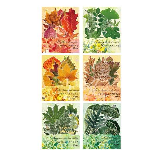 Autumn Signaled by Falling Leaves Waterproof PET Transparent Handmade Journal Sticker Pack. DIY Handmade Journal Plant Material, Children's Stickers, and Leaf Stickers