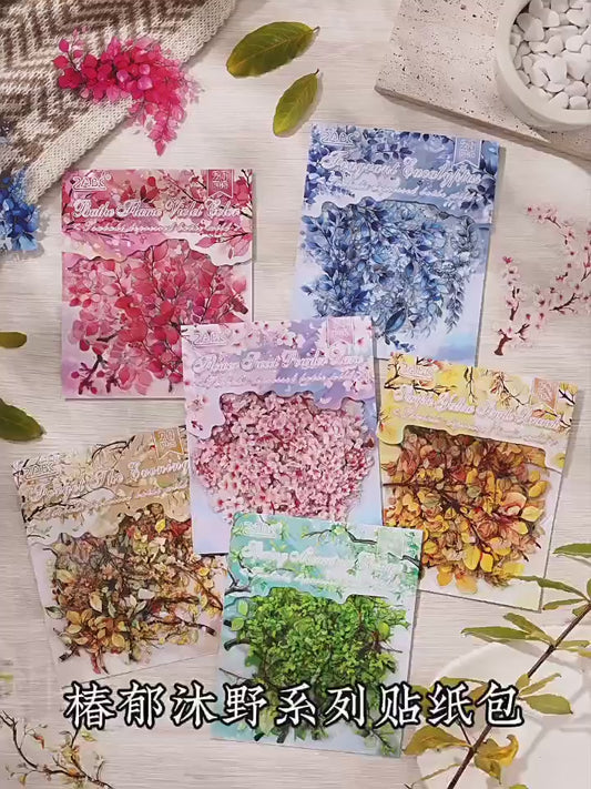 Chunyu Muye Transparent Waterproof PET Sticker Pack, DIY Decoration Stickers for Bullet Journals and Diaries, Cross-border Plant and Flower Stickers